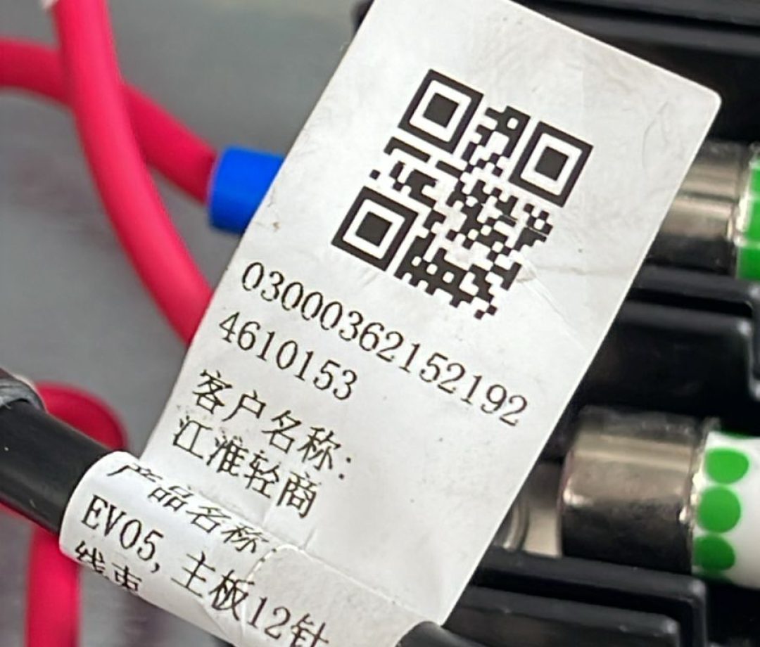 WhatsApp Image 2026-03-03 at 12.50.08 (1)