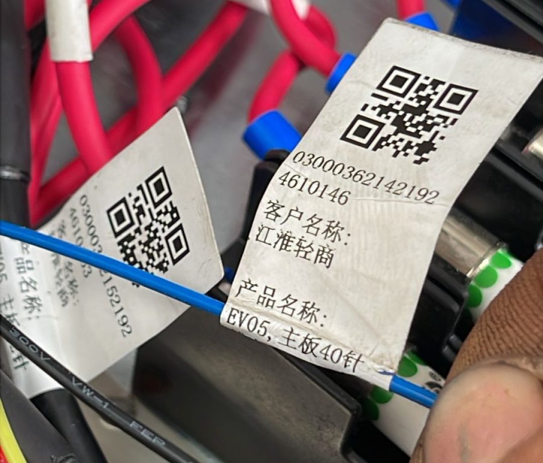 WhatsApp Image 2026-03-03 at 12.50.08